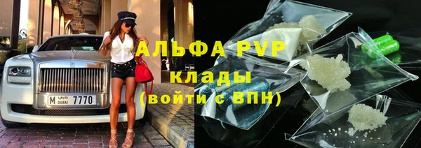 крисы Алзамай