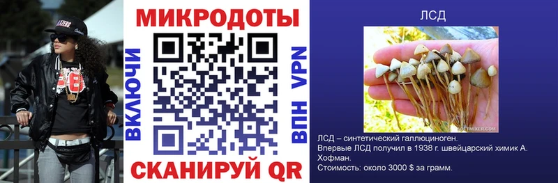 где можно купить Нелидово Галлюциногенные грибы MAGIC MUSHROOMS
